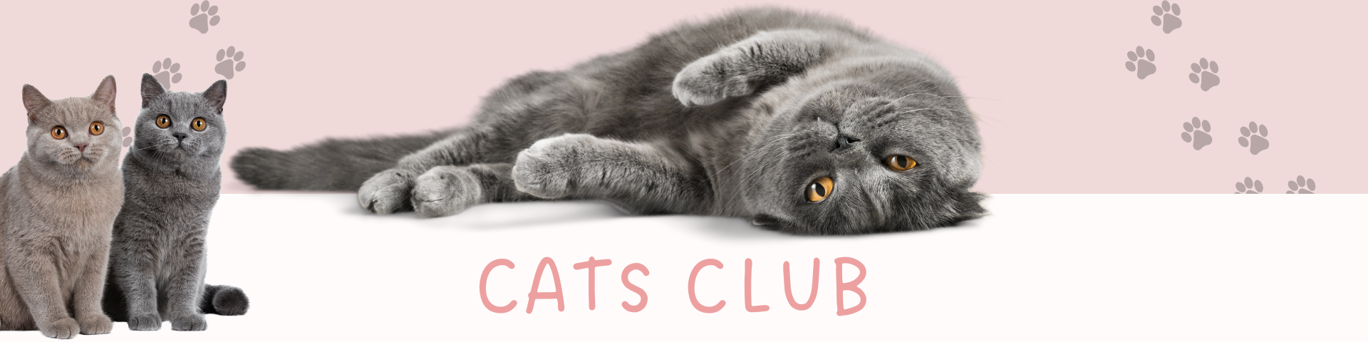 Cats Club